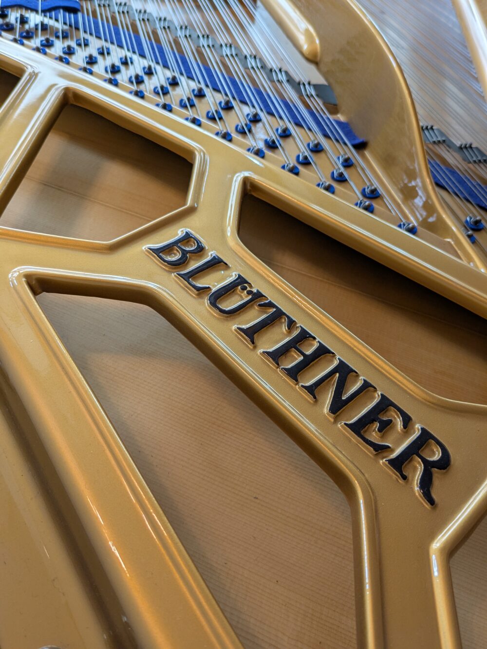 Blüthner – Image 5