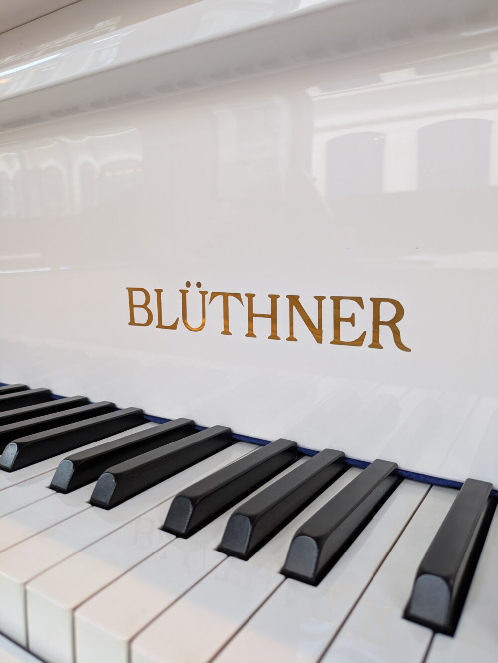 Blüthner – Image 4