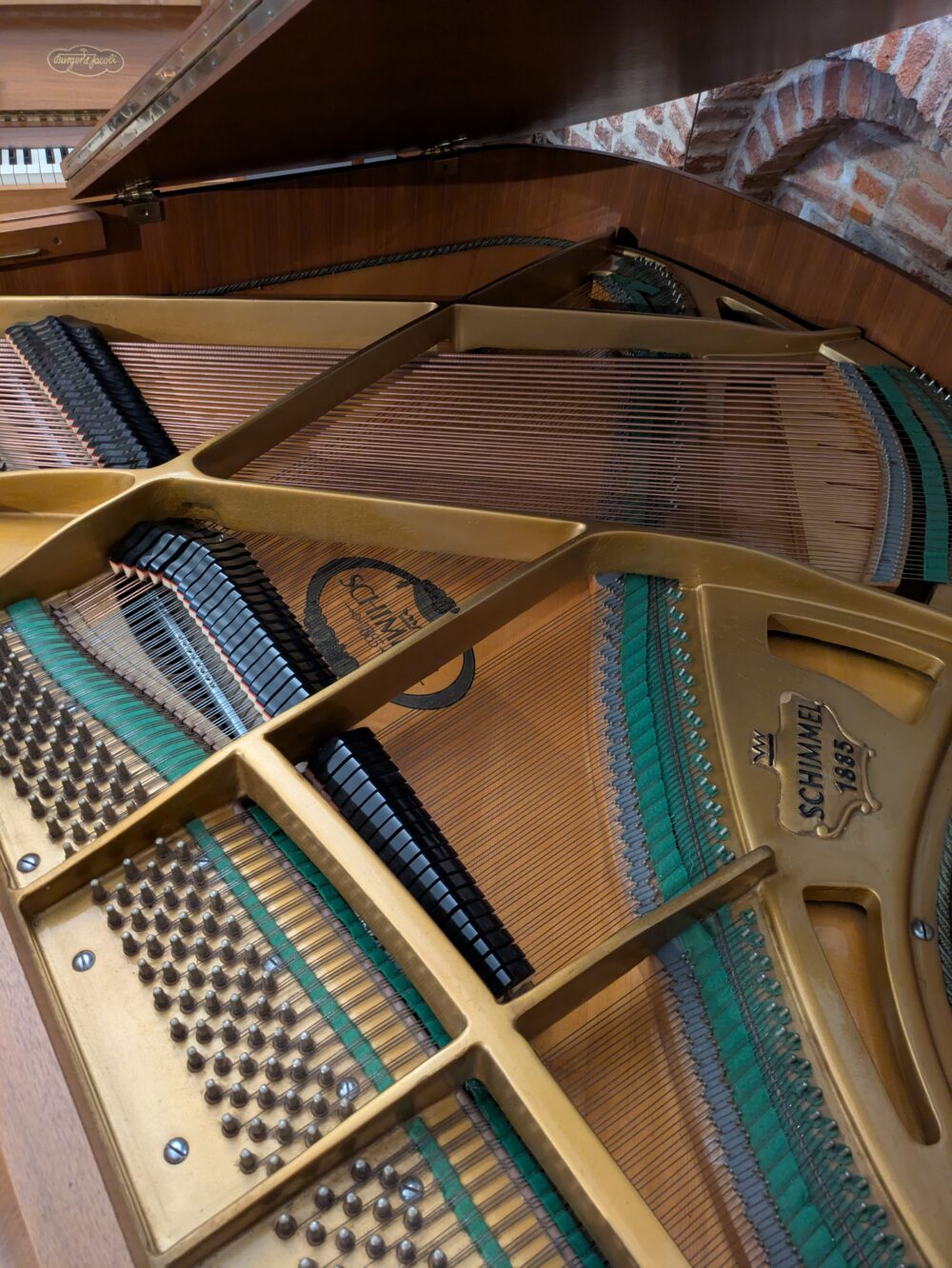 Schimmel (Silent) – Image 2