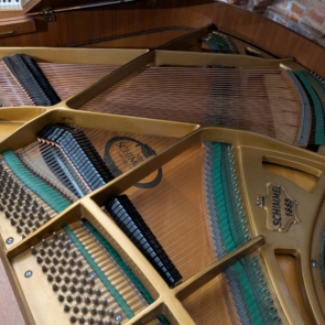 Schimmel Silent (4)