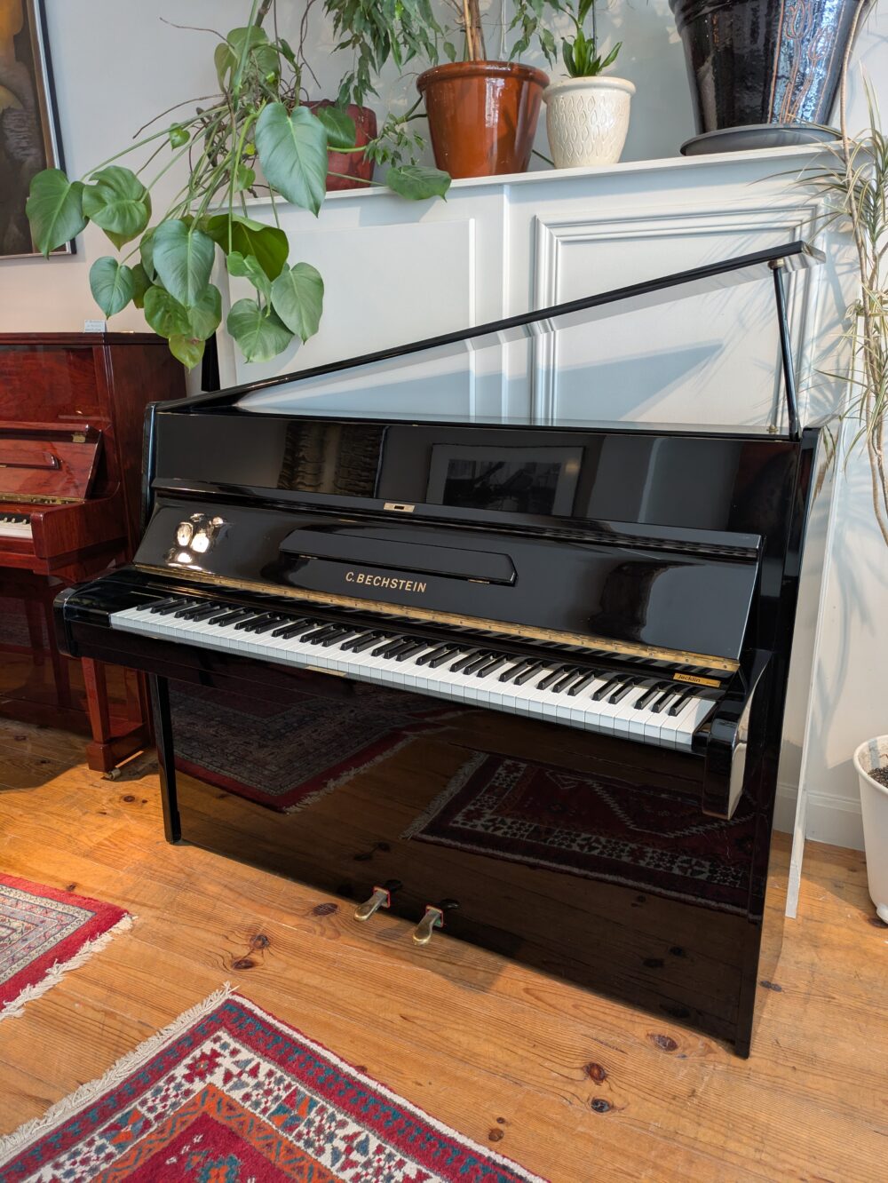 C.Bechstein