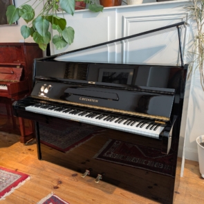 C.Bechstein (2)