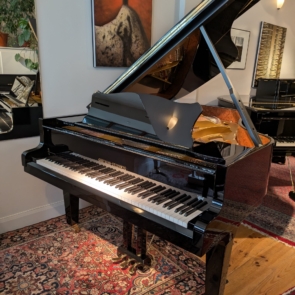 Grotrian-Steinweg (2)