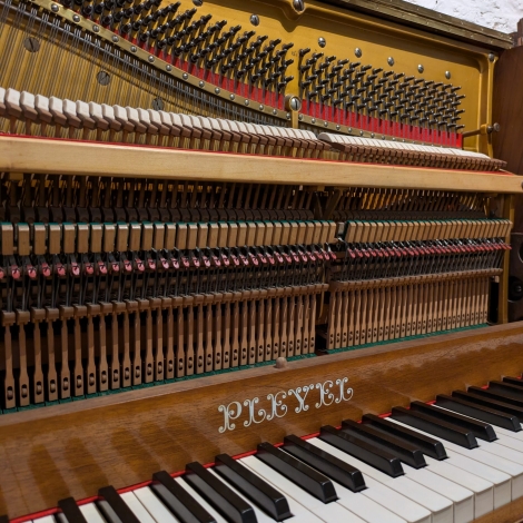 PXL_20251027_132430735