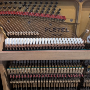 Pleyel (3)