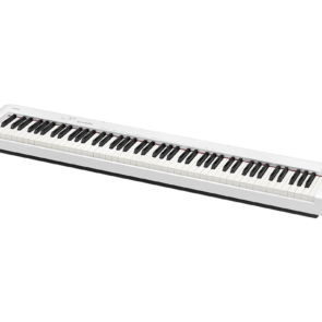 cdp-s110_2