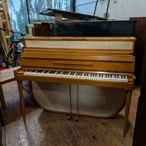 PXL_20251013_073200682