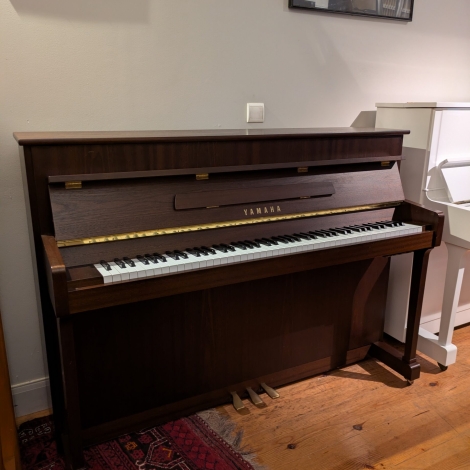 PXL_20251013_155738681