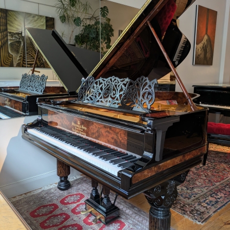 PXL_20251202_100129428