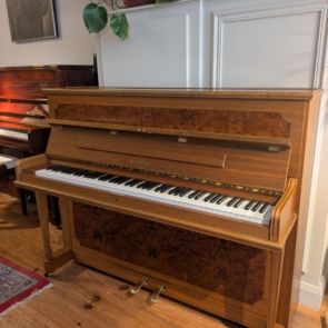 PXL_20260130_110610568