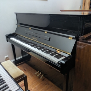 PXL_20260203_095437267